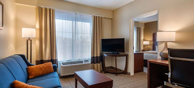 康福特套房市中心(Comfort Suites Downtown)图片