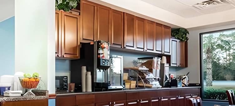 列治文山/萨凡纳温德姆戴斯酒店(Days Inn by Wyndham Richmond Hill/Savannah)图片