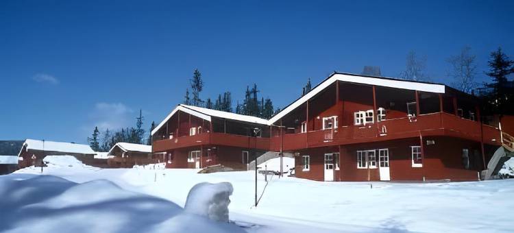 比尔凯贝内伦酒店及公寓(Birkebeineren Hotel & Apartments)图片