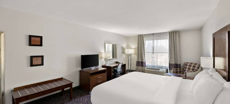 舒适套房酒店(Comfort Inn & Suites)图片