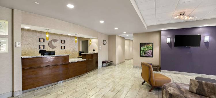 舒适套房酒店(Comfort Inn & Suites)图片