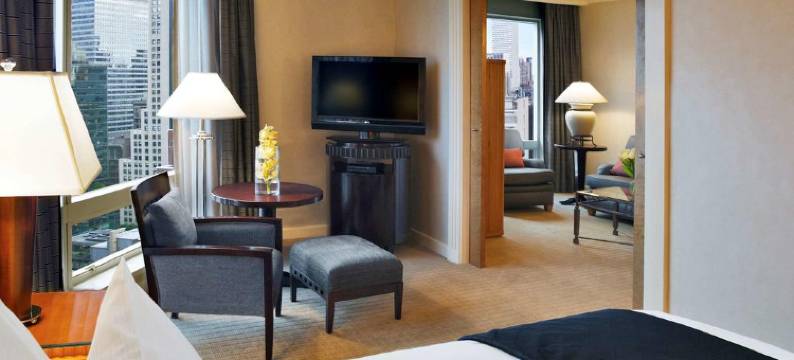 纽约索菲特酒店(Sofitel New York)图片