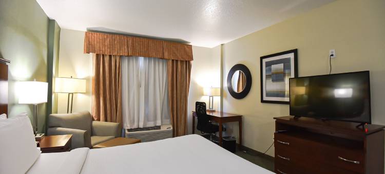 智选假日套房酒店可可(Holiday Inn Express & Suites Cocoa)图片