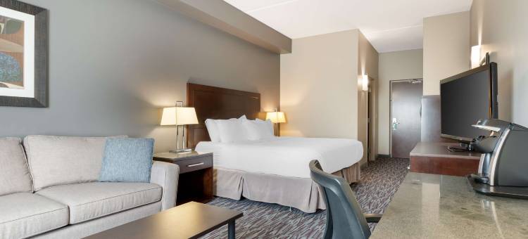 布兰顿贝斯特韦斯特优质酒店(Best Western Plus Brandon Inn)图片