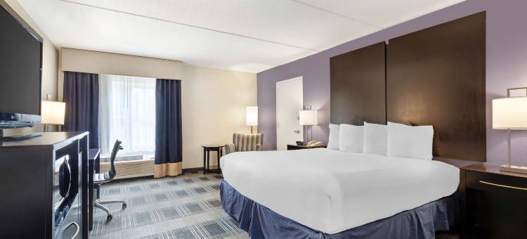 哈特福德贝斯特韦斯特套房酒店(Best Western Hartford Hotel  Suites)图片