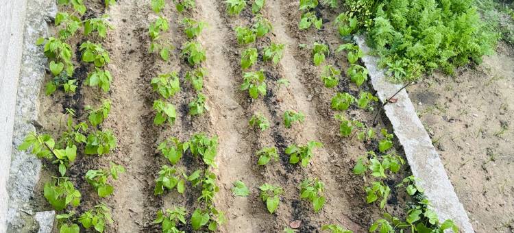 平潭海石厝客栈图片