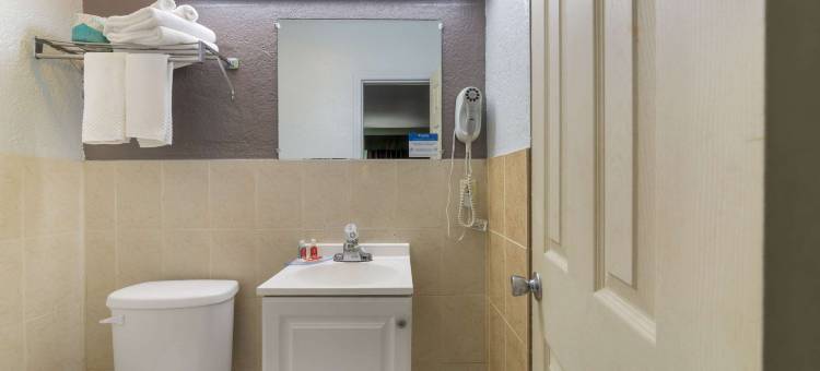 劳德代尔堡花园酒店套房(Fort Lauderdale Gardens Inn & Suites Ft Lauderdale International Airport)图片
