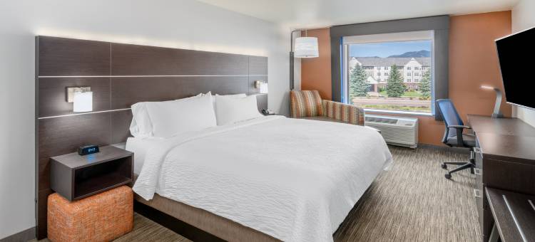 科罗拉多斯普林斯AFA北门智选假日套房酒店-(Holiday Inn Express & Suites Colorado Springs Afa Northgate)图片
