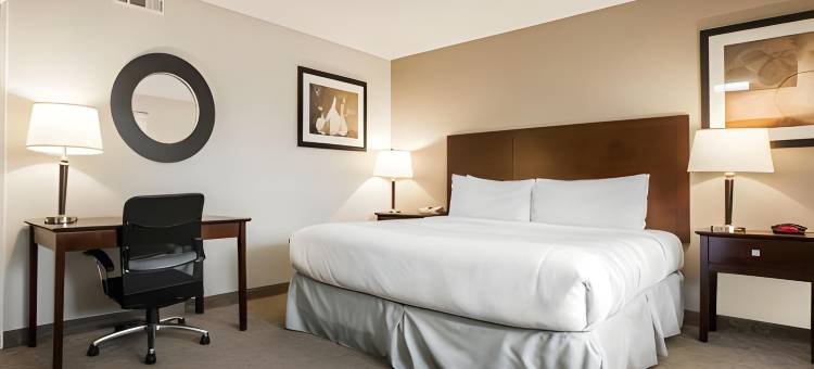 罗德威旅馆-会议中心(Rodeway Inn Convention Center)图片