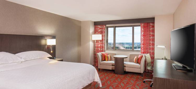 斯普林菲尔德喜来登帝王广场酒店(Sheraton Springfield Monarch Place Hotel)图片