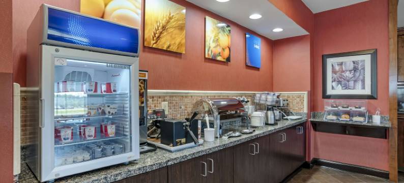 舒适套房酒店(Comfort Suites)图片