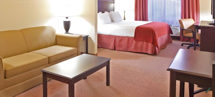 智选假日套房酒店克拉克斯(Holiday Inn Express & Suites Clarksville)图片