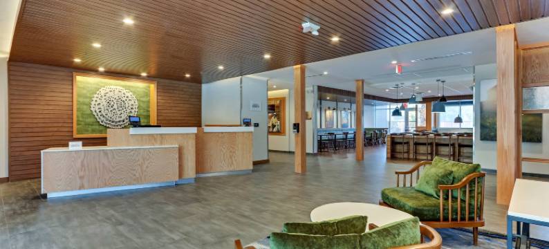 万枫套房酒店达拉斯拉夫菲尔德机场(Fairfield Inn & Suites Dallas Love Field)图片