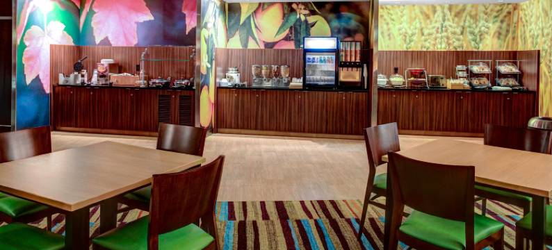 兰辛伊斯特伍德万枫酒店及套房(Fairfield Inn & Suites Lansing at Eastwood)图片