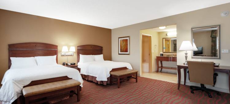 里奇港欢朋套房酒店(Hampton Inn & Suites Port Richey)图片