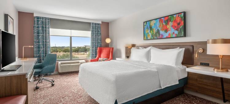 达拉斯艾伦希尔顿花园酒店(Hilton Garden Inn Dallas/Allen)图片