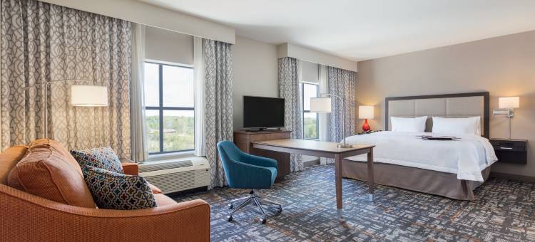 西德梅茵磨思维克欢朋酒店(Hampton Inn & Suites West des Moines/SW-Mall Area)图片