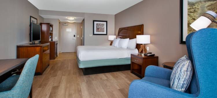 维吉尼亚海滩海滨希尔顿花园酒店(Hilton Garden Inn Virginia Beach Oceanfront)图片