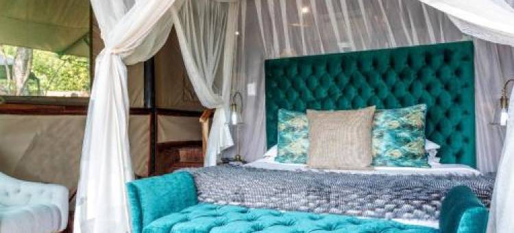 Tintswalo Siankaba图片