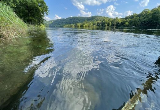 Cozy lake cottage close to everything Bull Shoals has to offer!Hotel Overview