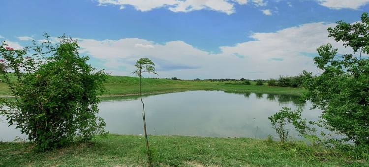 Amazing Views, Nightly star-filled skies, friendly farm animals...图片