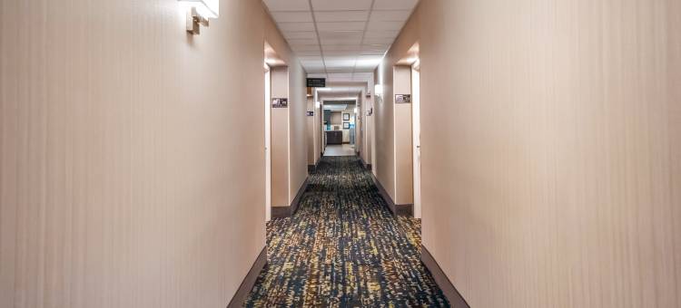 希尔顿欢朋酒店-温特黑文(Hampton Inn Winter Haven)图片