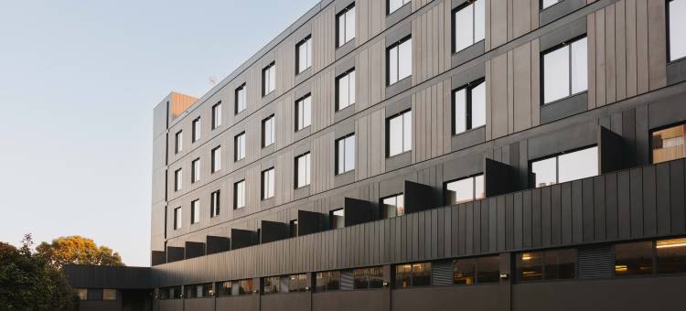 廷布雷英雄主义(Timbre Heroismo)图片