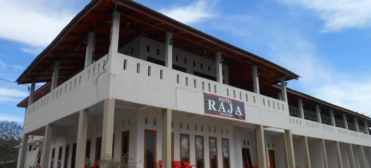 拉贾萨莫西尔酒店(Hotel Raja Samosir)图片