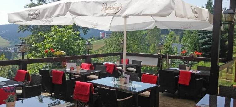 奥泊维森塔尔全景酒店(Panorama Hotel Kurort-Oberwiesenthal)图片