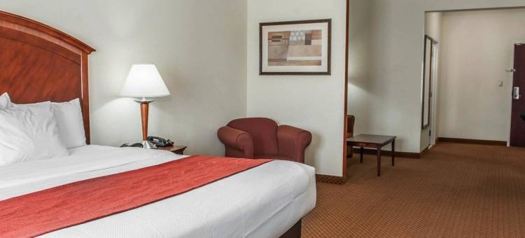 舒适套房酒店-近印第安纳波利斯机场(Comfort Suites Near Indianapolis Airport)图片