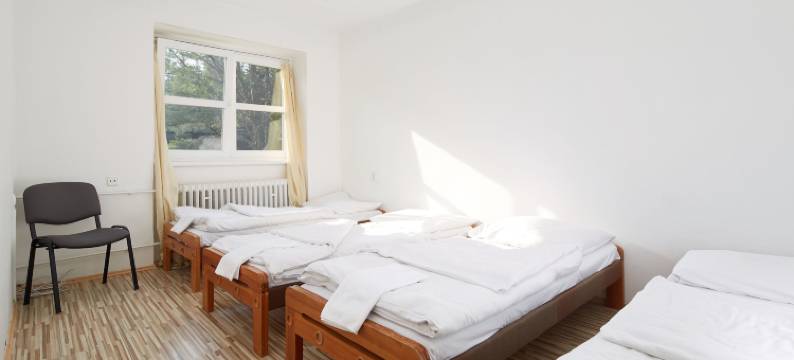 梅德洛夫信赖酒店(Hotel Medlov Depandance)图片