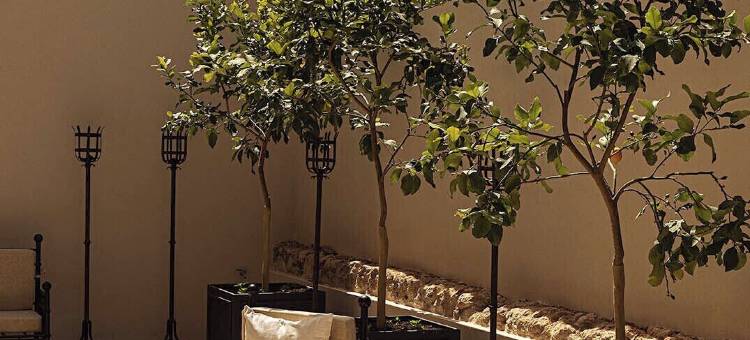 圣塔加塔公寓酒店(Dimora Santagatha)图片