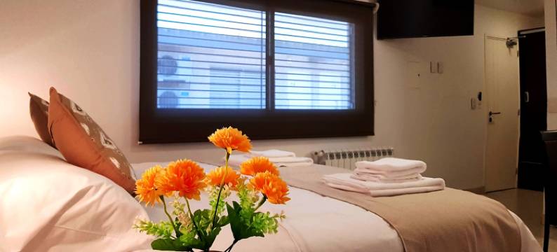 恩布拉尔艾克卡吉酒店(Umbral del Aconcagua)图片