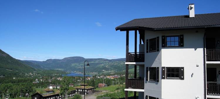 索丽雅高山公寓酒店(Alpin Apartments Sørlia)图片