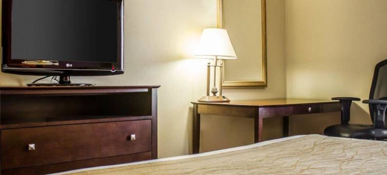 舒适套房酒店(Comfort Inn & Suites)图片