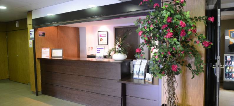 里昂拉玛蒂娜公寓式酒店(Residhotel Lyon Lamartine)图片