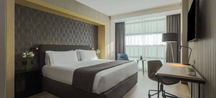 NH瓦勒多拉朵酒店(NH Mexico City Valle Dorado)图片