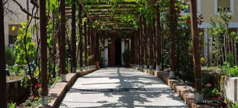 阿杰罗拉詹蒂莱酒店(Hotel Gentile)图片