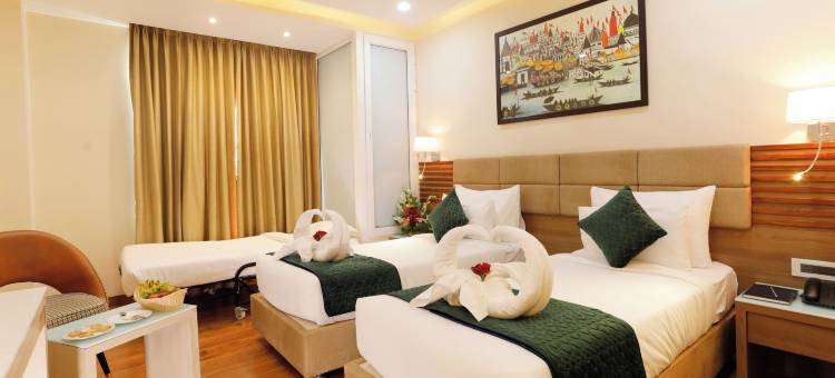 大翔酒店(Hotel Dolphin Grand)图片