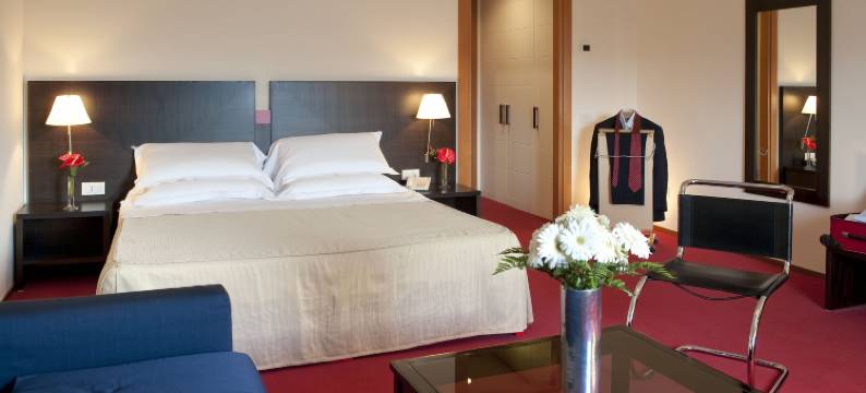 中央会议公园酒店(Park Hotel Centro Congressi)图片