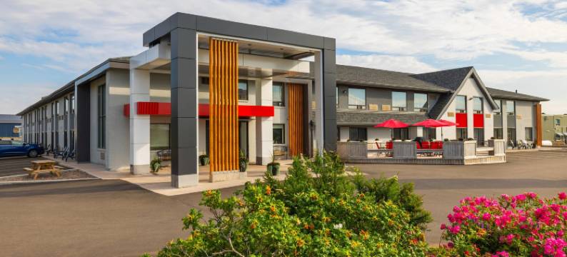 舒适酒店(Comfort Inn)图片