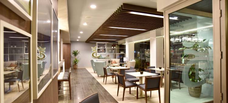 多纳路易莎TC酒店(TC Hotel Doña Luisa)图片