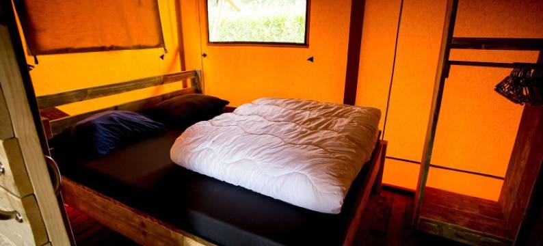 临近朗斯和杜伦斯丘的舒适帐篷小屋(Apartment in Netherlands Near Nature Trails)图片