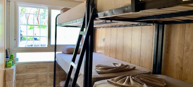 豪华珍珠旅馆(La Perla de Lujo - Hostel)图片