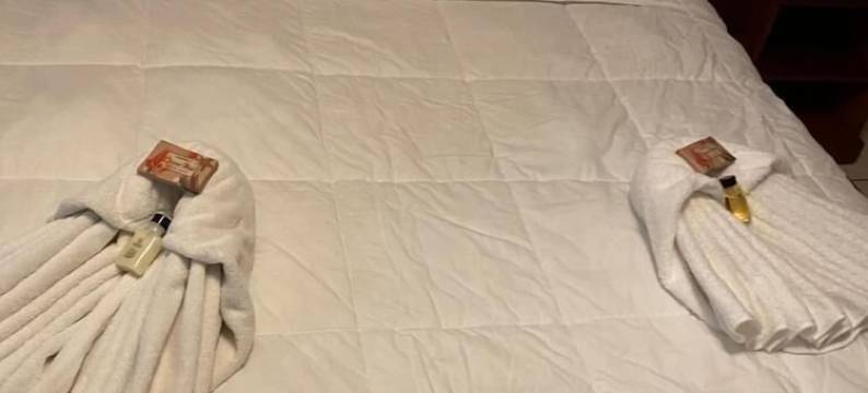 西棕榈酒店(West Palm Hotel)图片