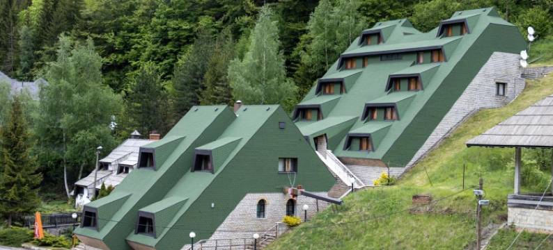 兰克维奇别墅宾馆(Guest House Villa Rankovic)图片