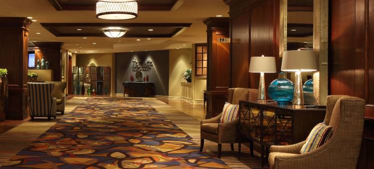 桃树市亚特兰大酒店及会议中心(Hilton Peachtree City Atlanta Hotel & Conference Center)图片