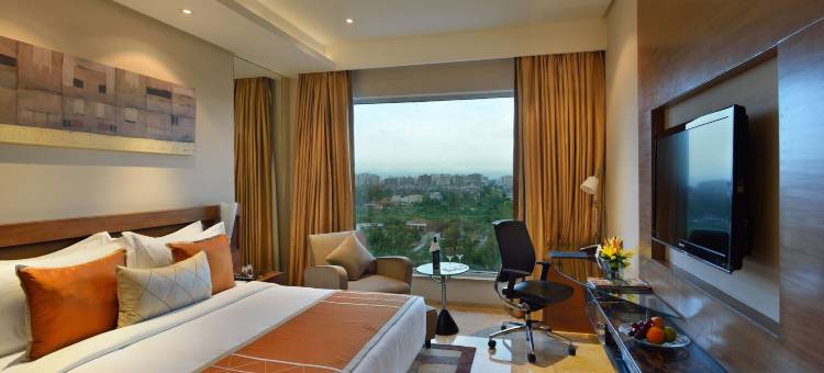卡萨比德里NCR丽笙酒店(Radisson Blu Kaushambi Delhi NCR)图片