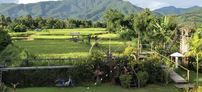 辛帕家庭旅馆(Hinpha Homestay)图片