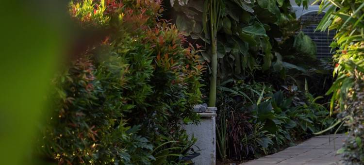 塞雷度假村果阿(Seré Resort Goa)图片